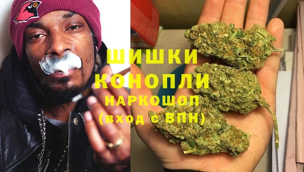 соль ск Арсеньев